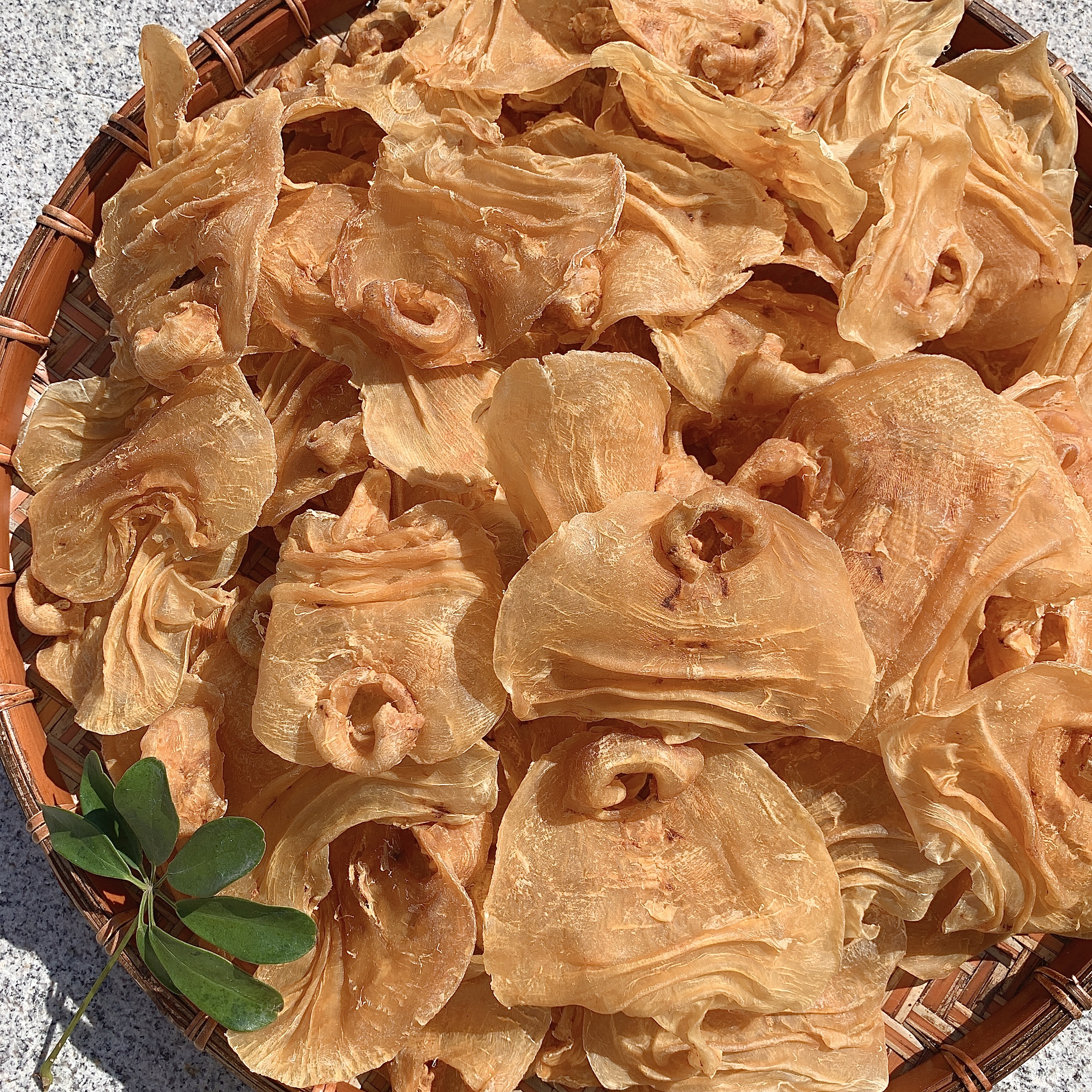 祺汇膳品  约32-34头陈年老澳斗湖公胶 250g~500g