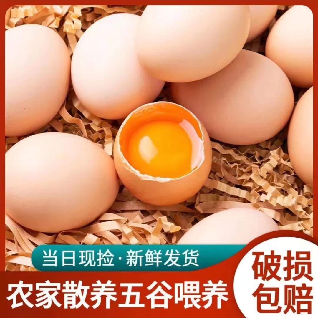 【鸡不可失】农家放养粉壳土鸡蛋50枚/2000g破损包赔 