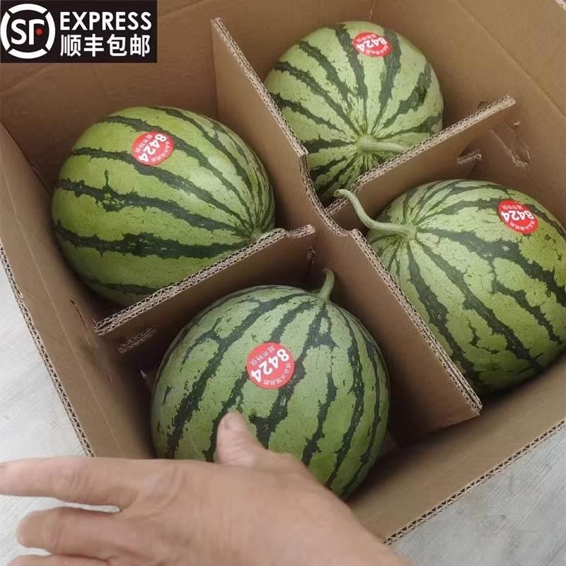现摘包甜冰糖麒麟西瓜5斤水果新鲜当季薄皮多汁8424美都精品西瓜