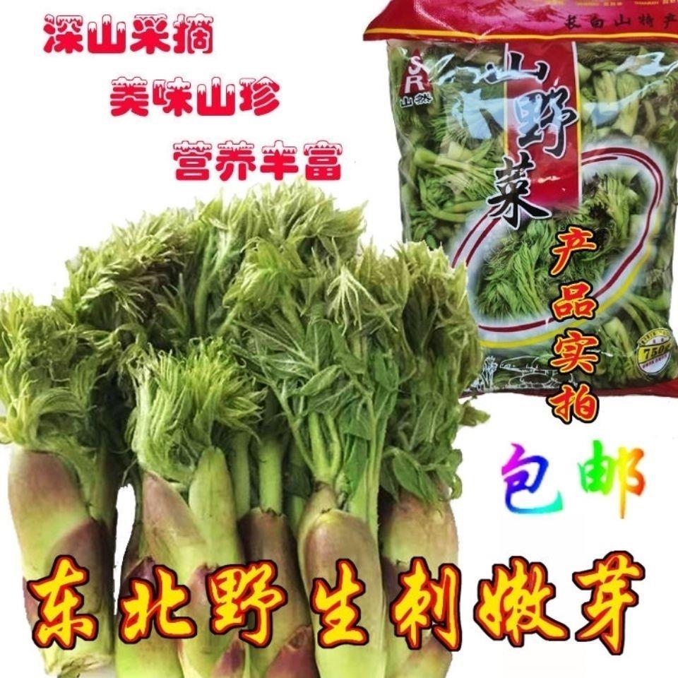 刺老芽新鲜腌制东北刺嫩芽东北山长白山特产野菜山菜保鲜袋装750g