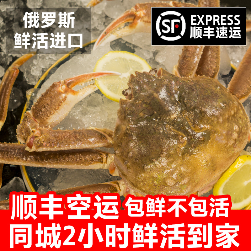 生猛鲜活 松叶蟹 刺身海鲜 保鲜不保活 美味鲜嫩 空运深海