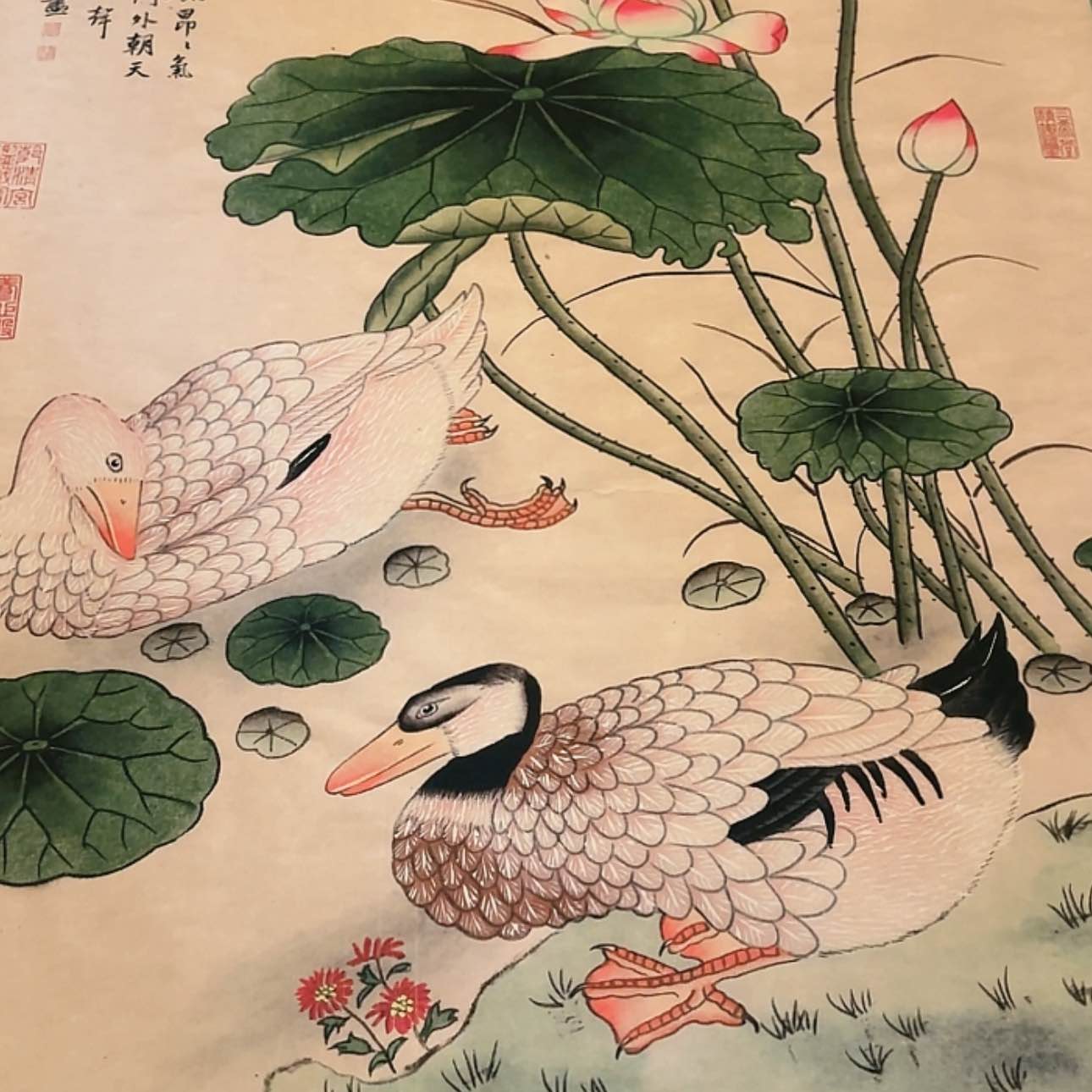 【闪购商品】书法123