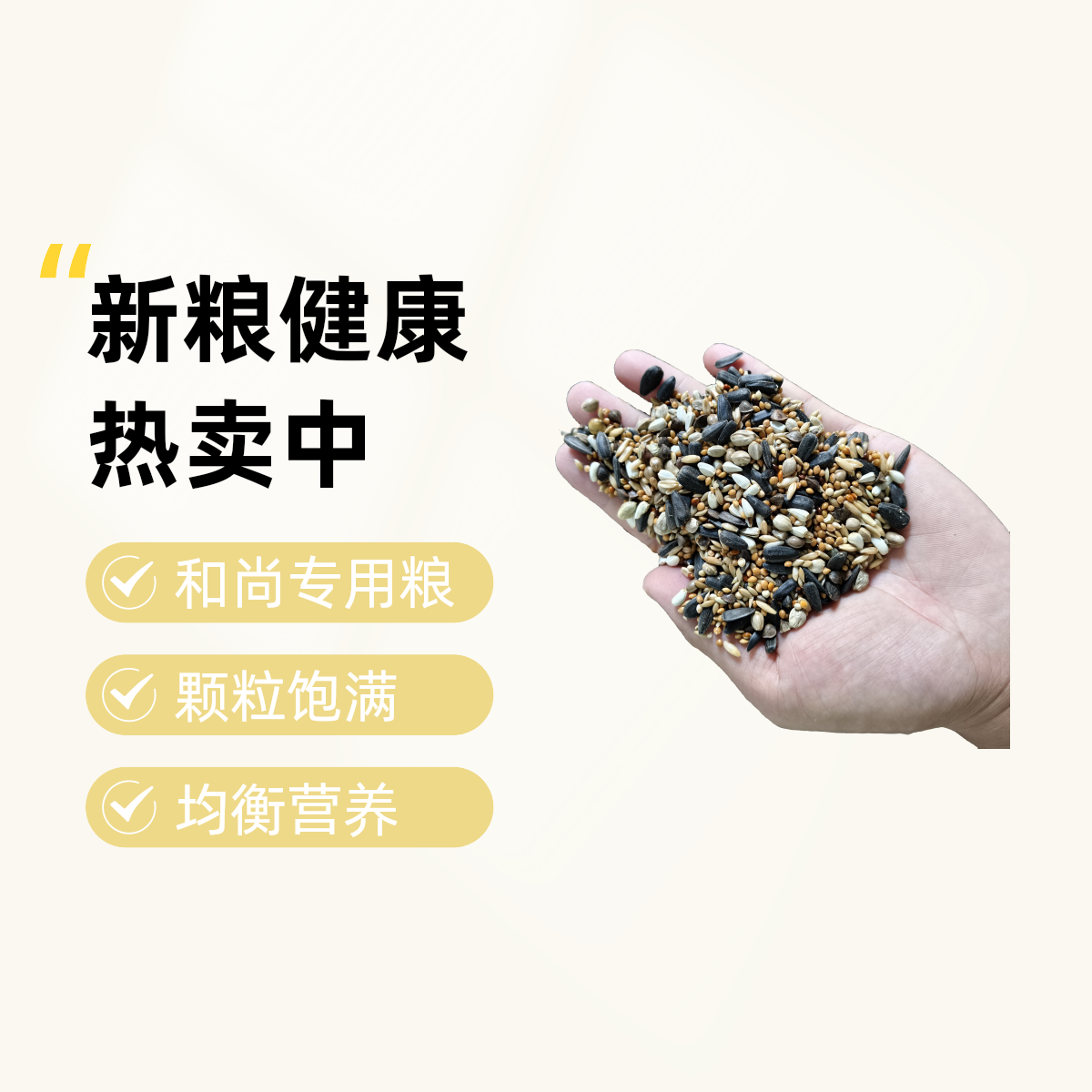 和尚小太阳鹦鹉专用种子粮 均衡混合粮 精选新粮颗粒饱满健康鸟粮