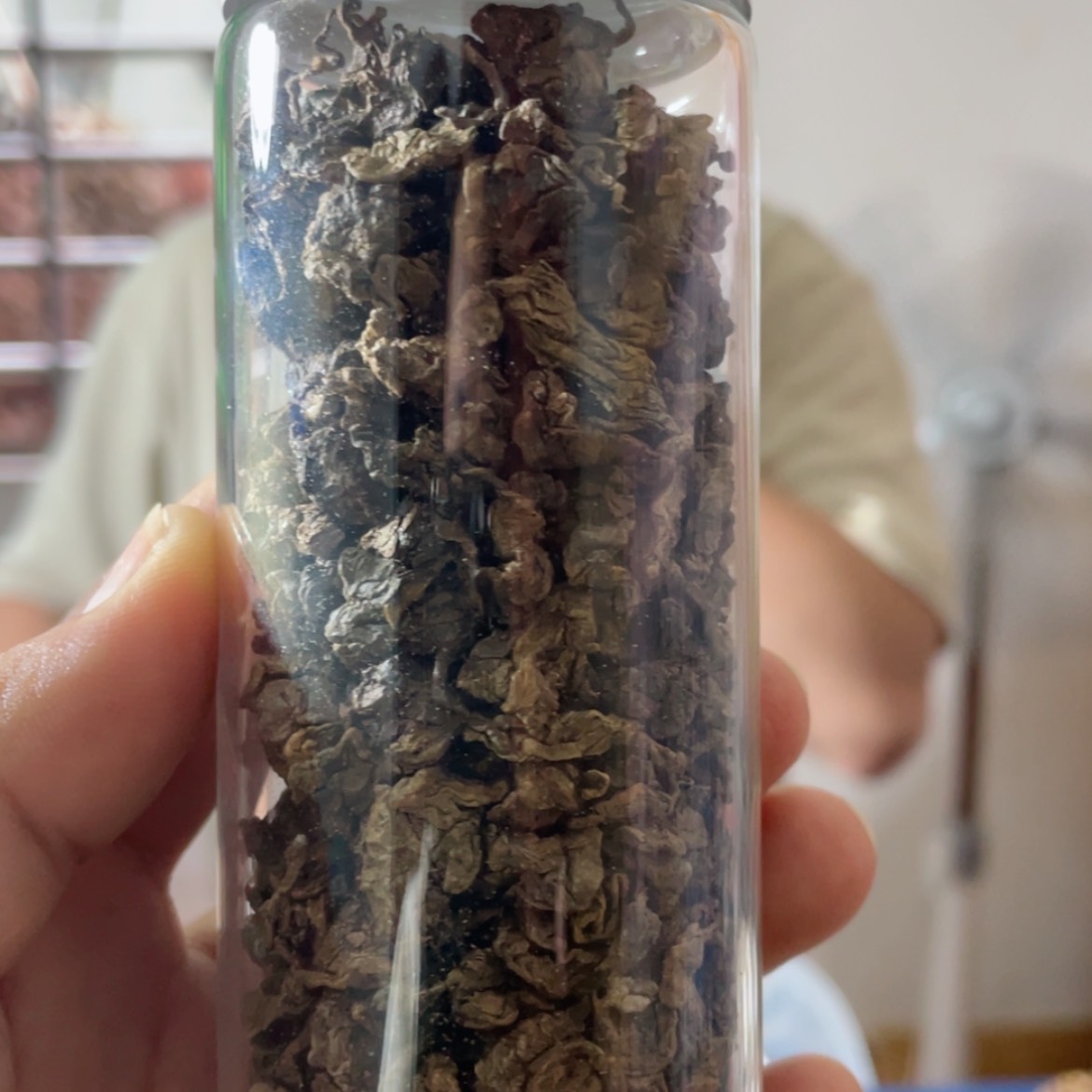 【闪购商品】沉香绿棋茶叶50克多样性发一