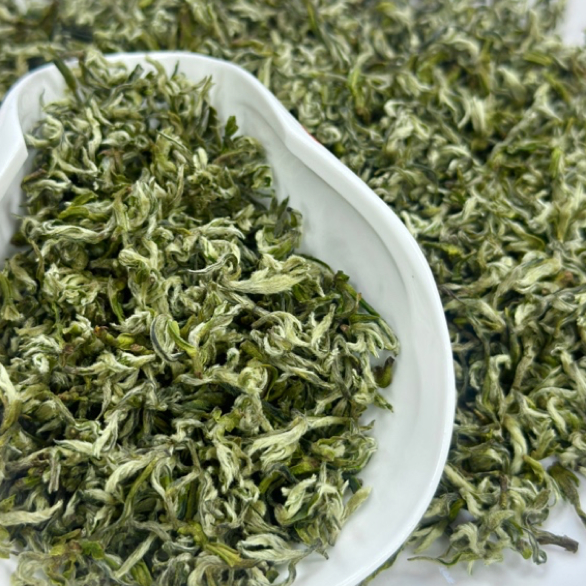 2025年新茶渝雅蒙山顶甘露明前茶头采芽绿茶嫩芽渝雅茶业茶叶