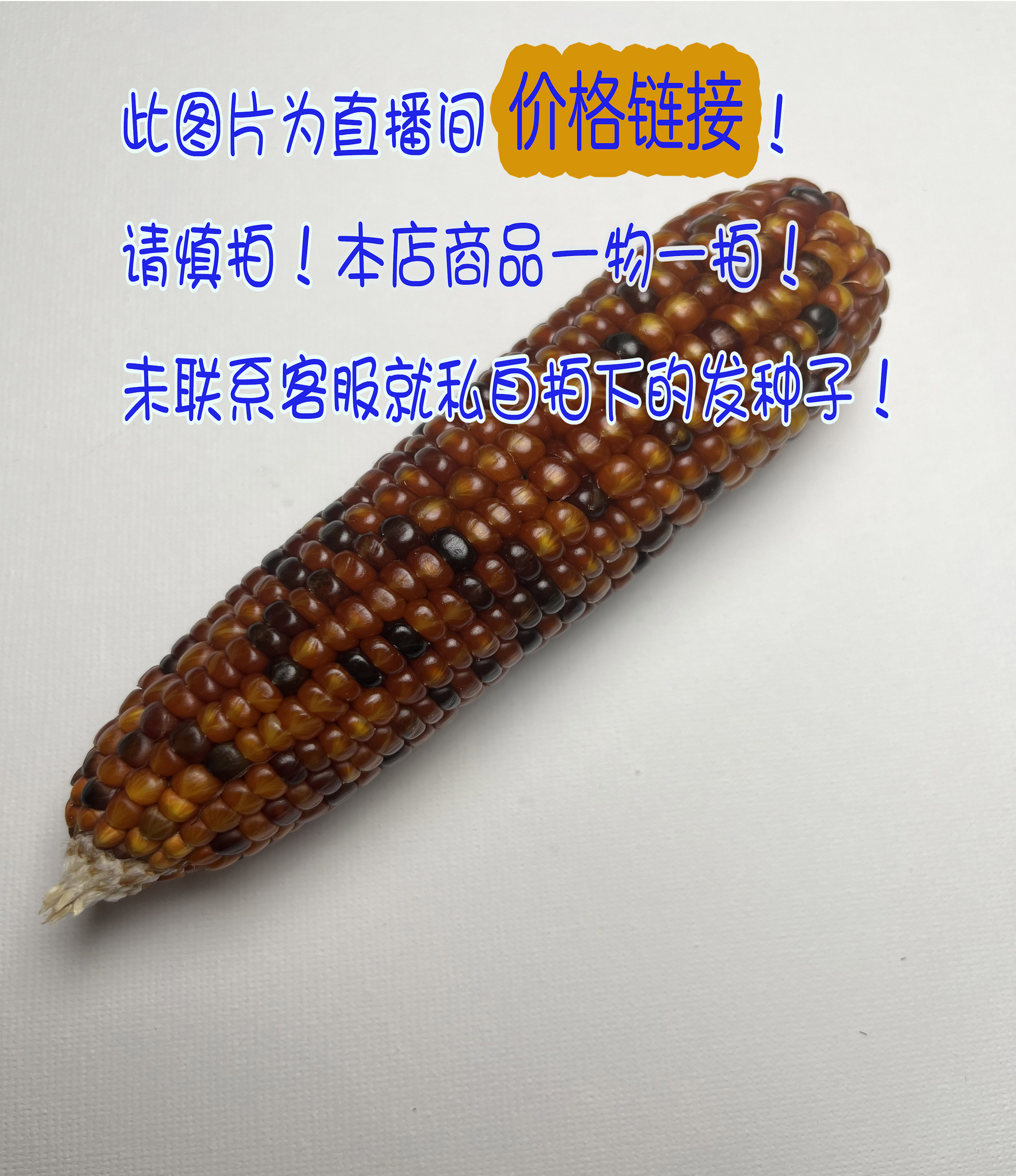 直播间价格链接文玩玉米成品毛料、车挂饰、创艺手把件、七彩小玉米