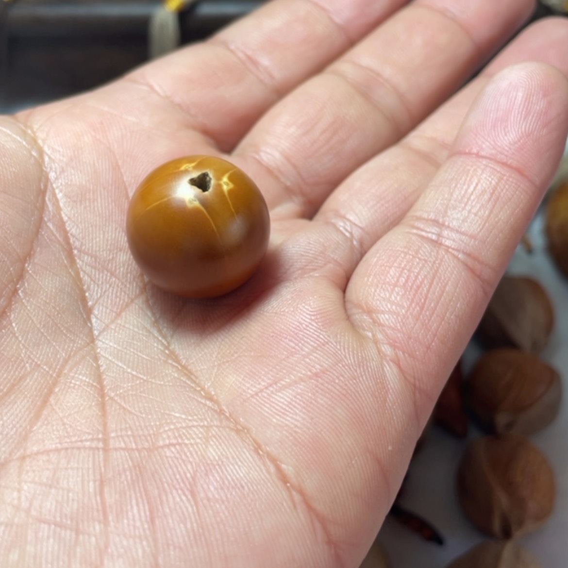 【闪购商品】橄榄核雕牛**?