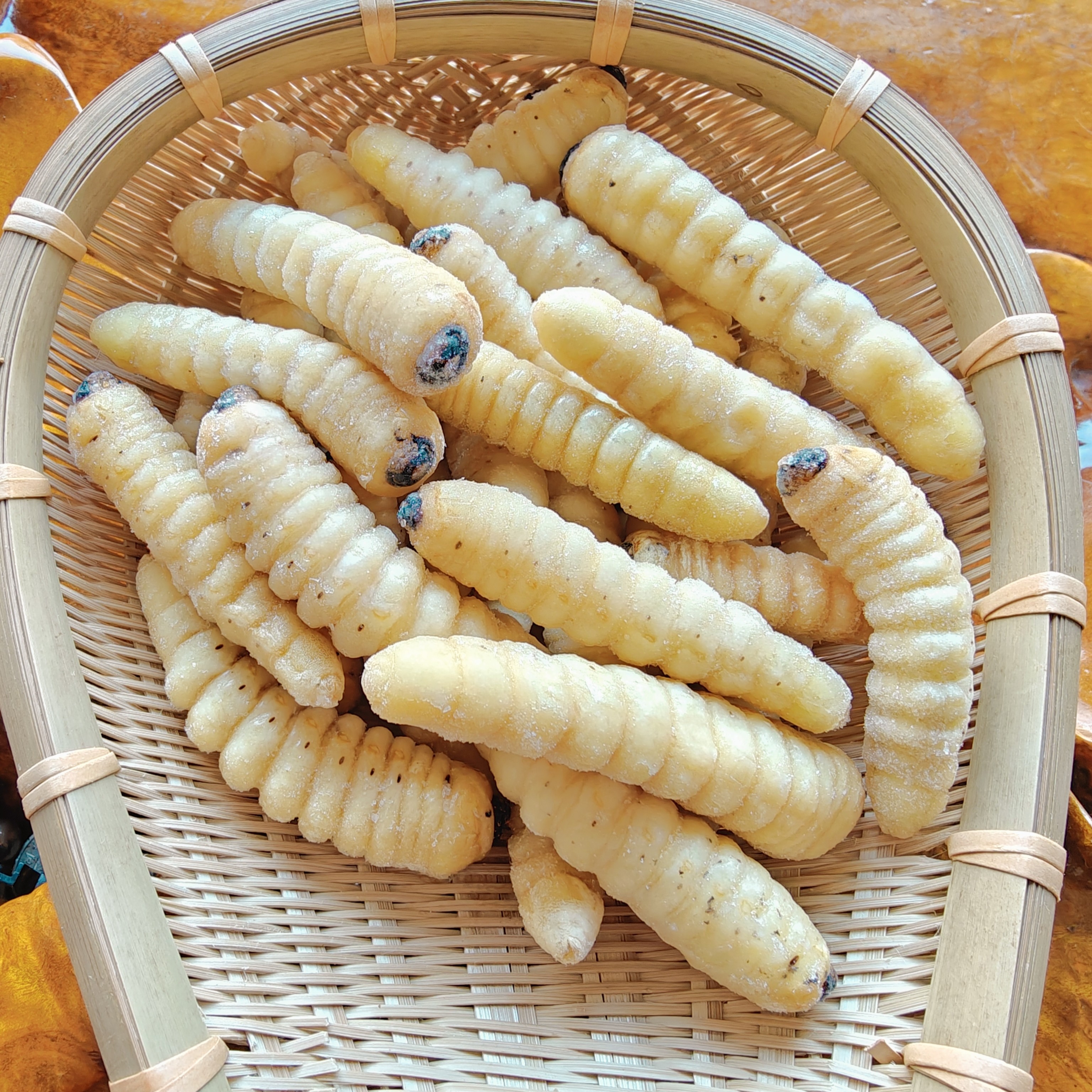 哈虫 木虫 山东特产柮虫 斗米虫 油炸柴虫 蛤虫 木虫批发