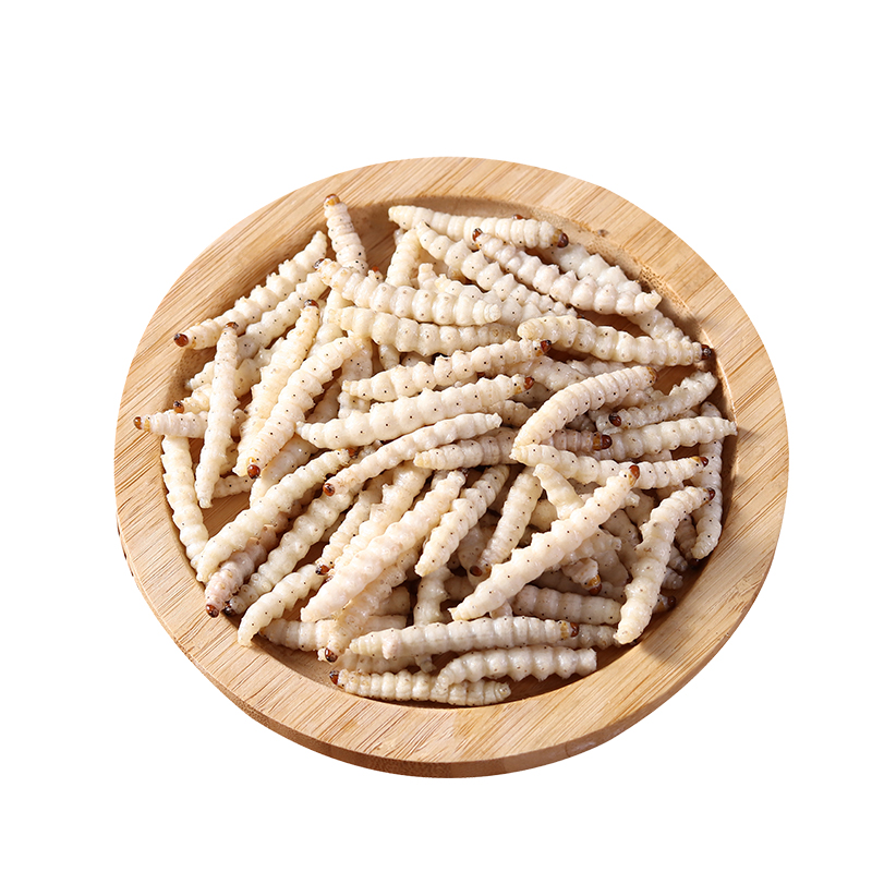 竹节虫大竹笋虫山东大竹蜂体肥大竹节虫顺丰包邮油炸美味肉质