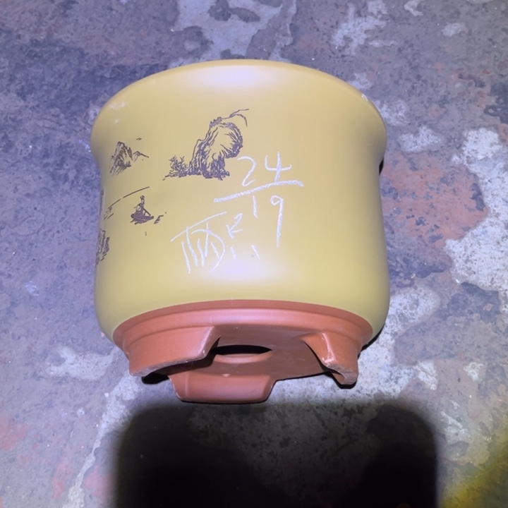 红陶20CM（含）-50CM（不含）
