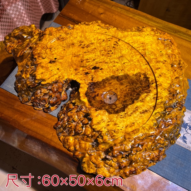 黄金樟木树瘤茶盘 自然随型 全自然边实木茶盘 
