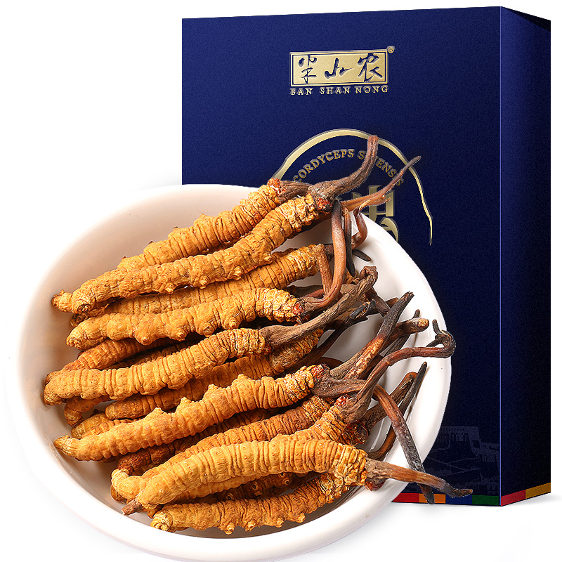 半山农冬虫夏草5条1克装精选高洁净高品质饱满虫草无断草
