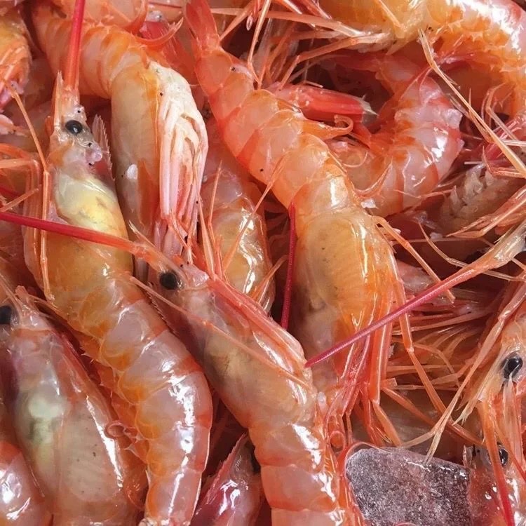 【东海野生红虾3斤】三大金 深海海捕大虾甜虾新鲜上岸