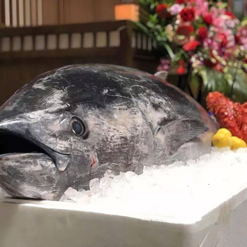 【代拍链接现场称重】大西洋蓝鳍金枪鱼刺身级生鱼片(配芥末酱油包)