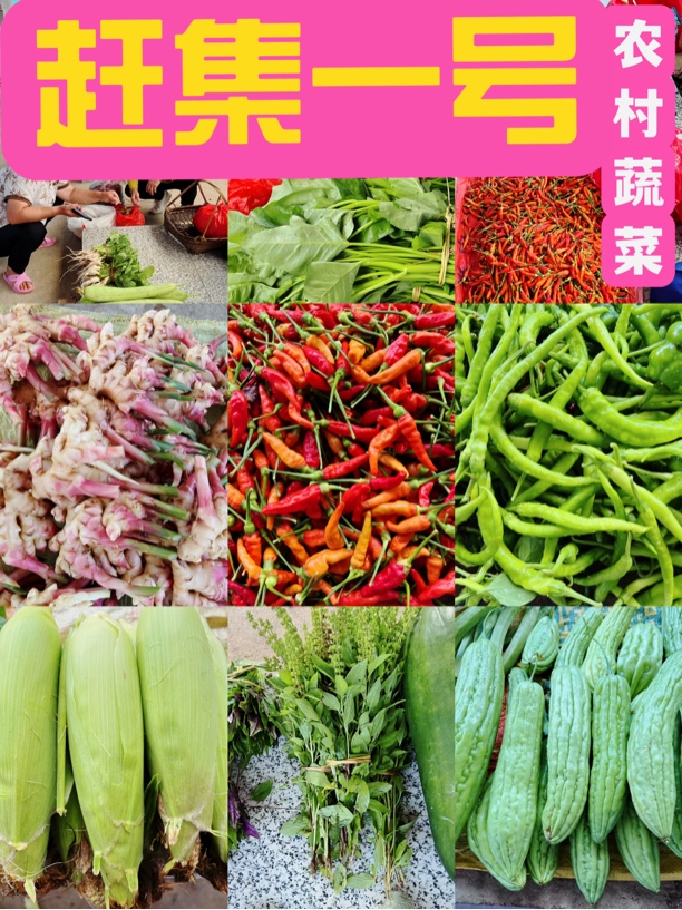 江西赣南乡下农村应时应季新鲜搭配蔬菜清洗农家菜