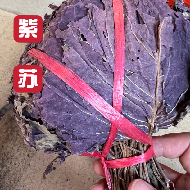 江西赣南蔬自种縈苏煮鱼煮鸭子去腥搭味配料菜 