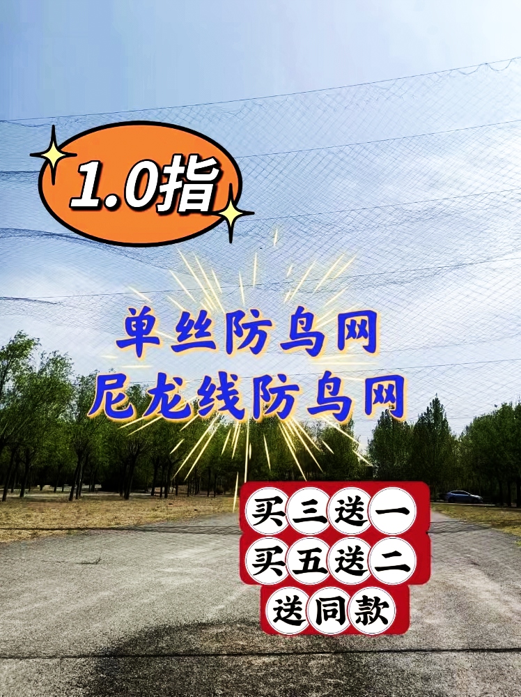 1.0指粗单丝防风款防鸟网黄、秀、柳用
