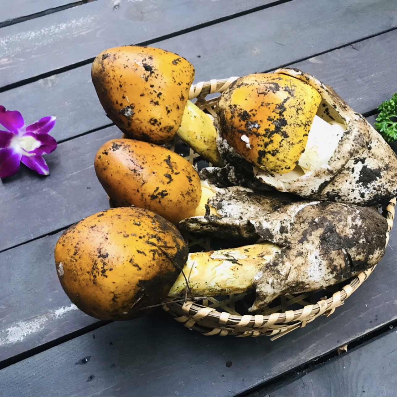 冰鲜鹅蛋菌 黄鹅蛋菌500g以上