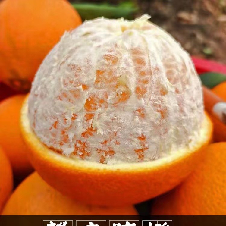 正宗江西赣南脐橙新鲜橙子当季水果细腻赣州甜橙香手剥脆嫩酸甜