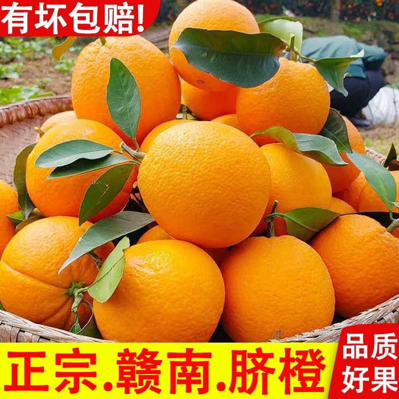 赣南脐橙正宗果园现采现发当季新鲜水果爆汁孕妇水果皮薄多汁应季
