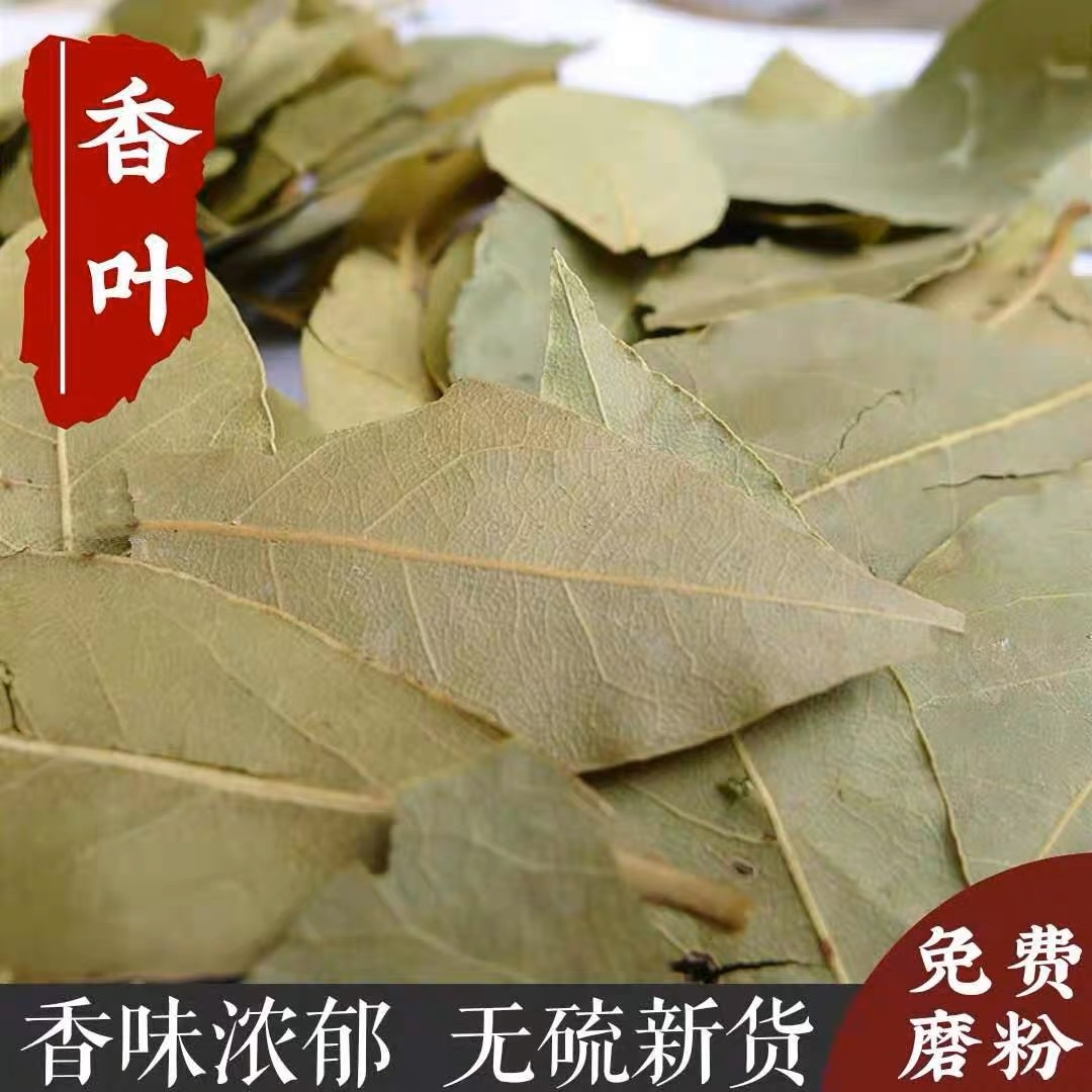 新货香叶广西月桂叶干货调味增香去腥家用商用20g-500g食用农产品