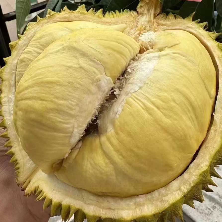 泰国金枕榴莲39.8/斤，现称现拍