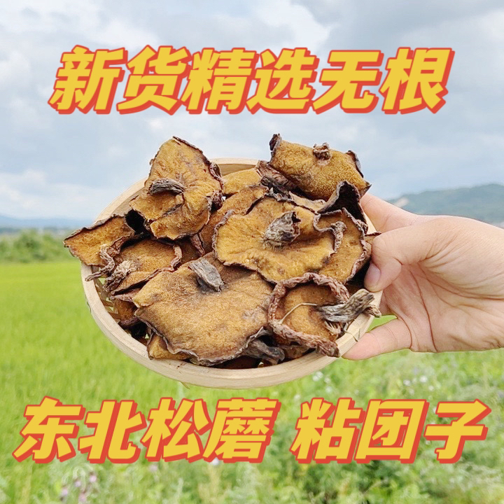 东北农家干松蘑（松蛾子）2025年新货