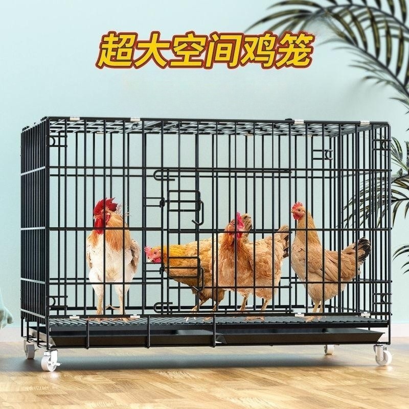 【小扬哥推荐】鸡笼子大号特大养殖笼自动清粪鸡舍家用家庭鸡笼多