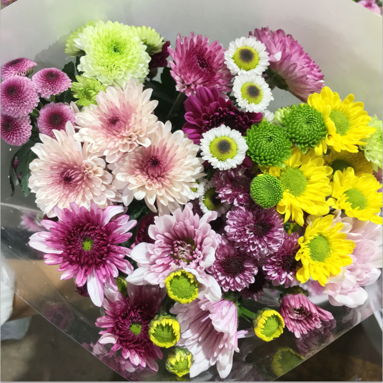 东北鲜花沈阳晓全花行任意一束