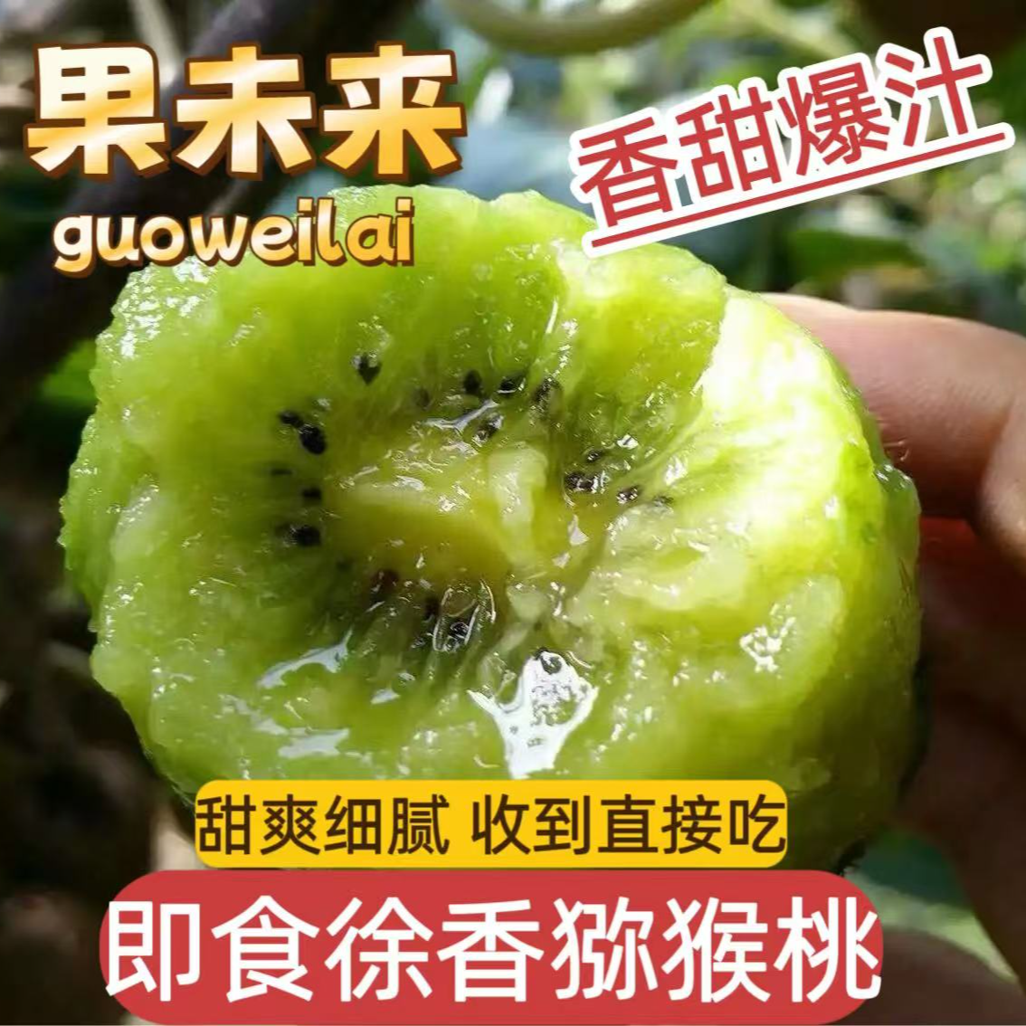 【果未来】陕西即食徐香猕猴桃收到即吃产地直发