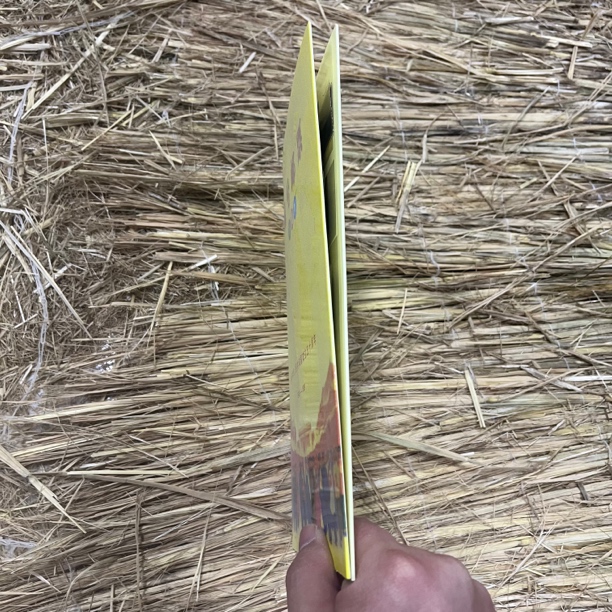 【闪购商品】YP编号 创意礼品