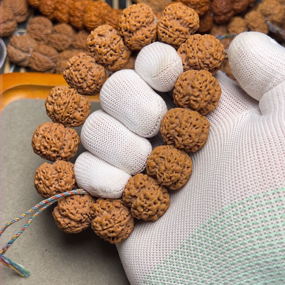 金刚菩提23梅花双龙