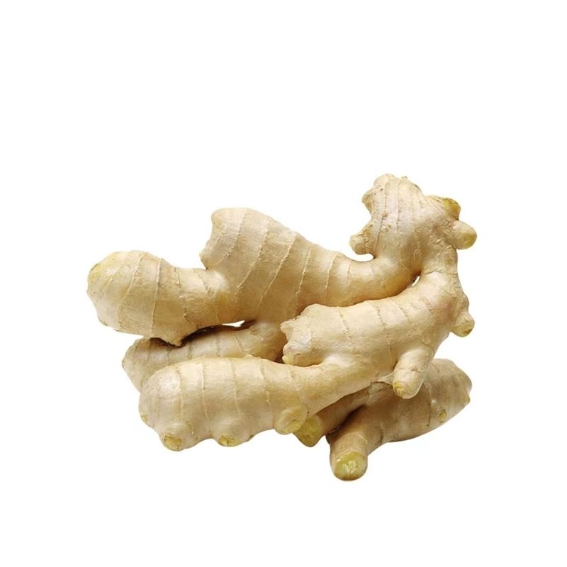 生姜 约500g/份