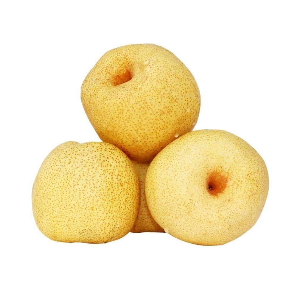 砀山梨 约500g/份