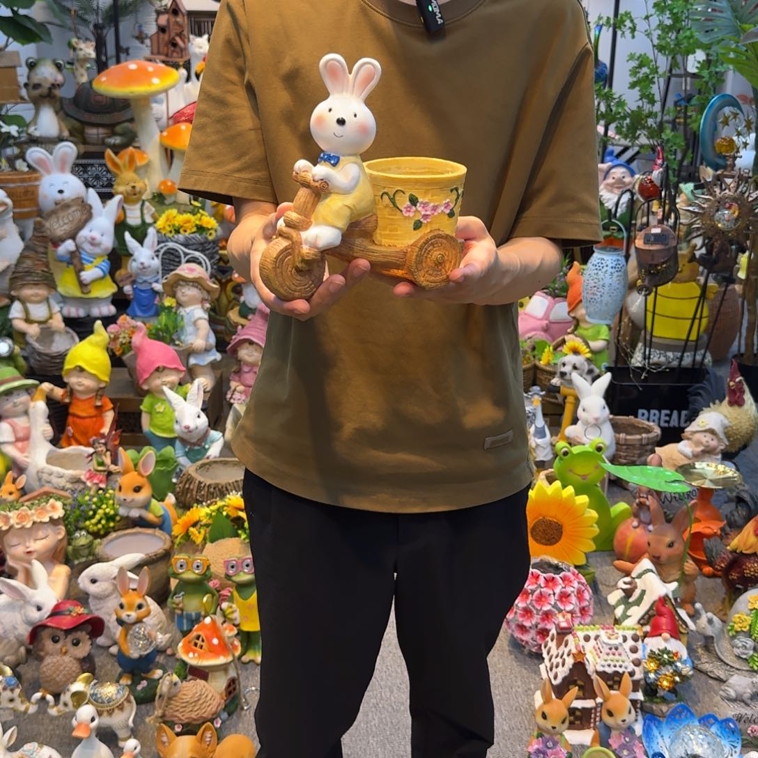 红陶20CM（含）-50CM（不含）