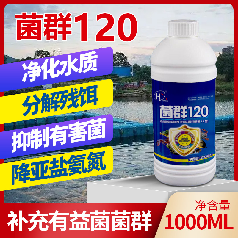 【宏翔优选】免活化发酵复合菌 1L/瓶补菌稳水菌藻平衡解决饲料残留