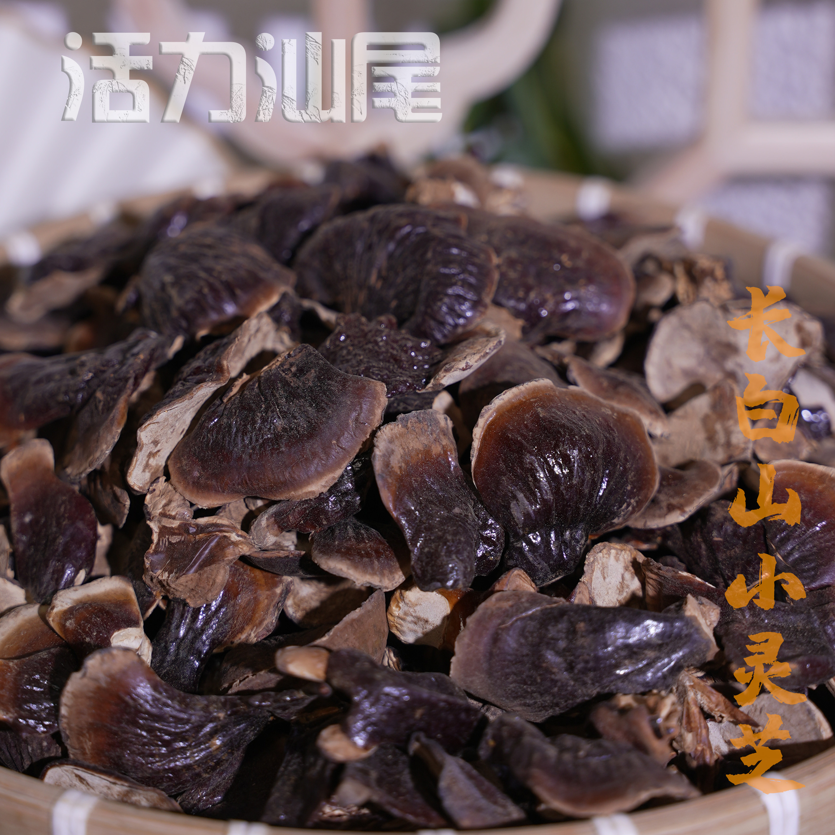 长白山小灵芝正宗农产品