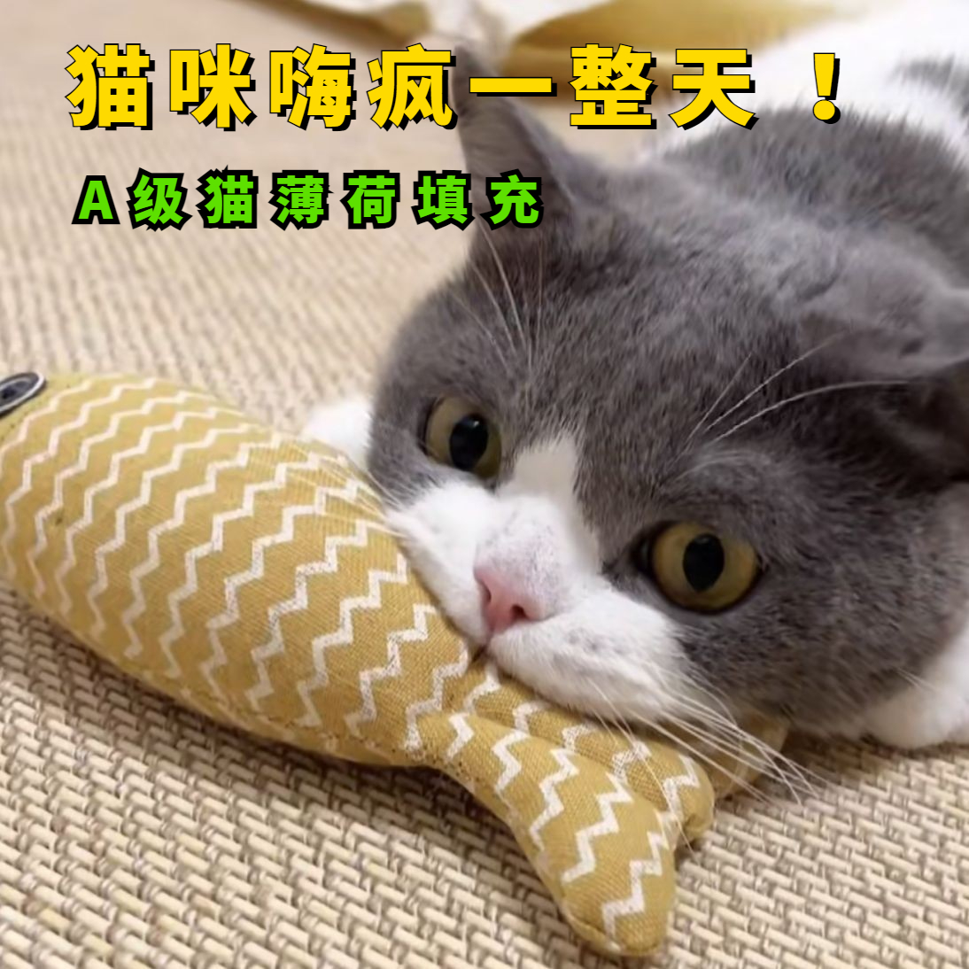 新款猫玩具自嗨解闷猫薄荷鱼耐用幼猫磨牙麻布薄荷仿真鱼猫咪玩具