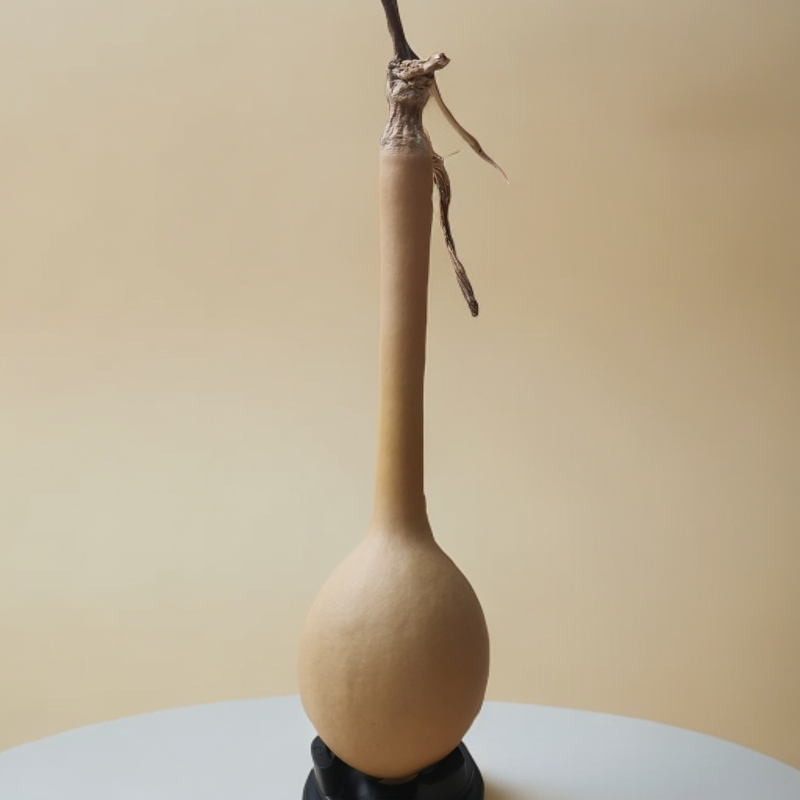 葫芦精品一号链接