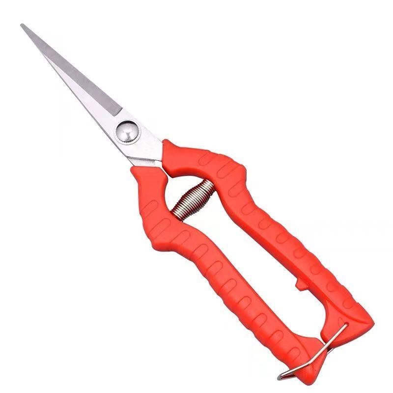 修枝采果剪摘果剪花椒剪采摘果蔬剪刀柑橘花剪蔬果葡萄粒剪刀园林