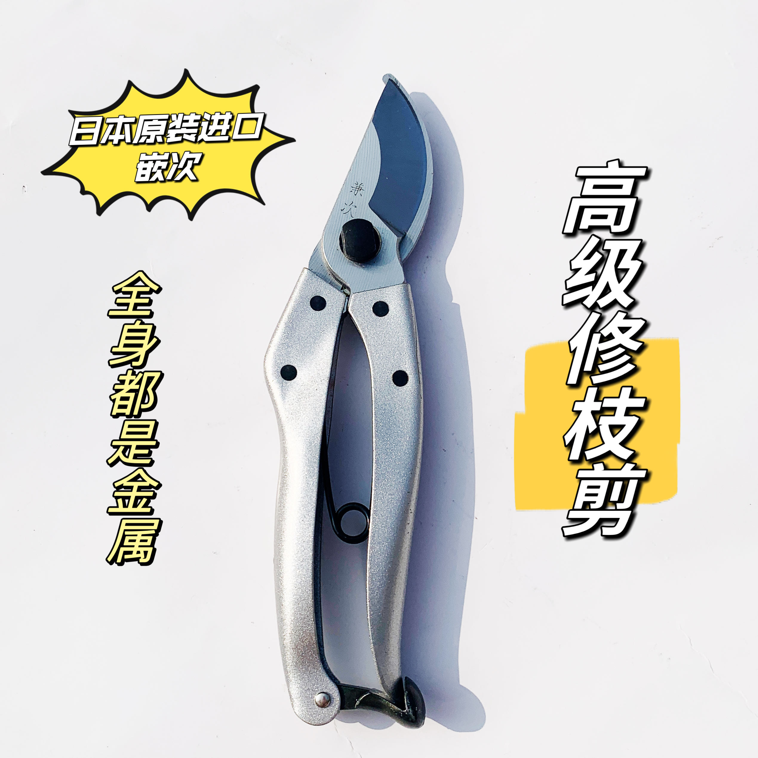 冬白日本原装进口嵌次高级果树盆景修枝限量版