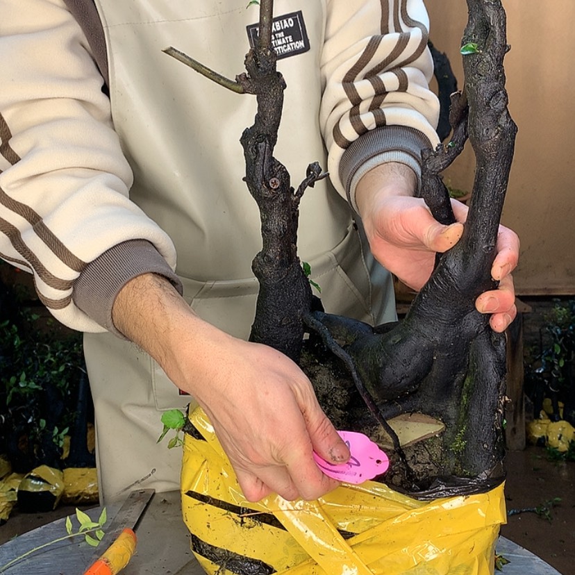 【闪购商品】一****89753356