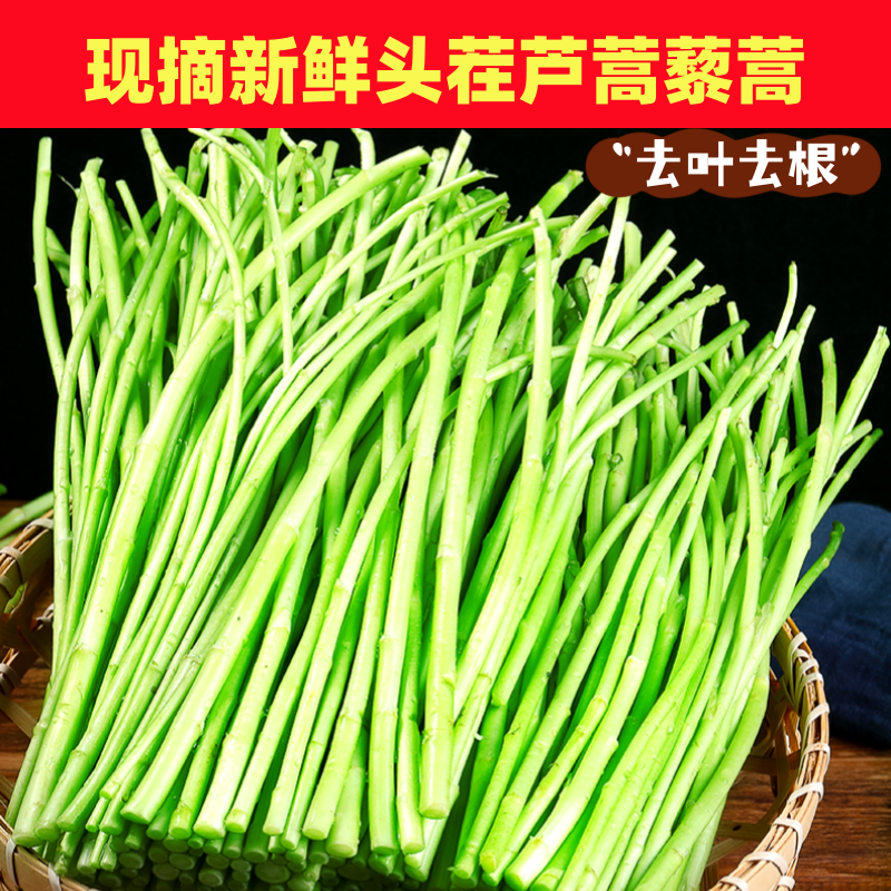 现摘新鲜农家蔬菜嫩芦蒿杆子藜蒿黎蒿手工去叶老根净菜柳泥蒿野菜
