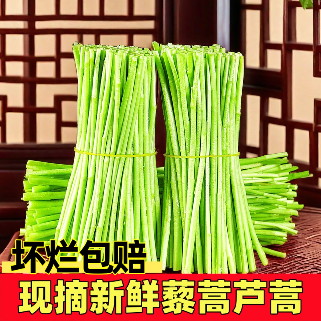 农家自种精选蔬菜嫩芦蒿杆子藜蒿黎蒿去叶老根净菜柳泥蒿野菜新鲜