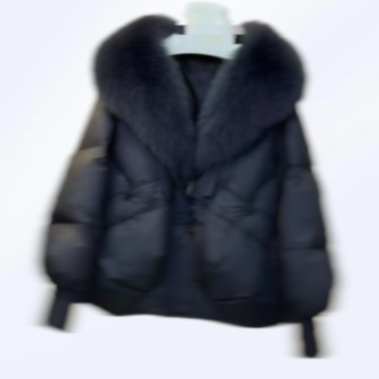 新款气质时尚百搭宽松短外套