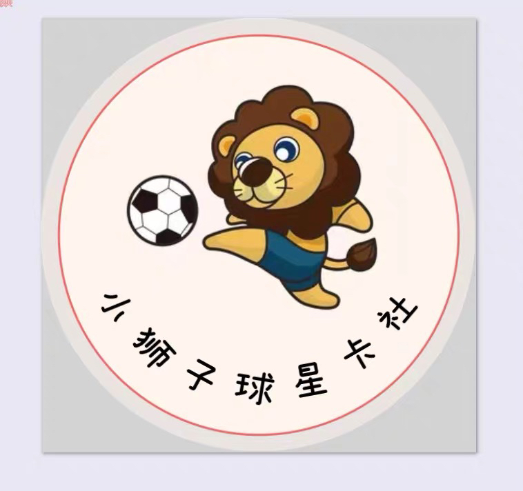 小狮子球星卡盲盒（未成年人禁止下单不支持退换，拍下默认拆开）