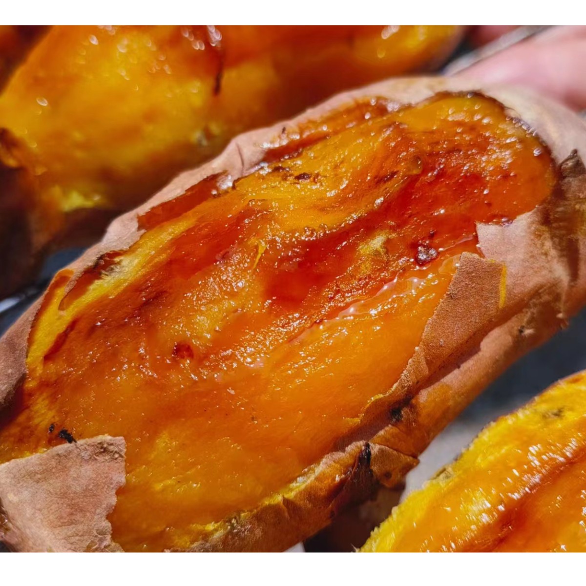 烟薯25号山东现挖烤着流油流蜜软糯香甜儿时味