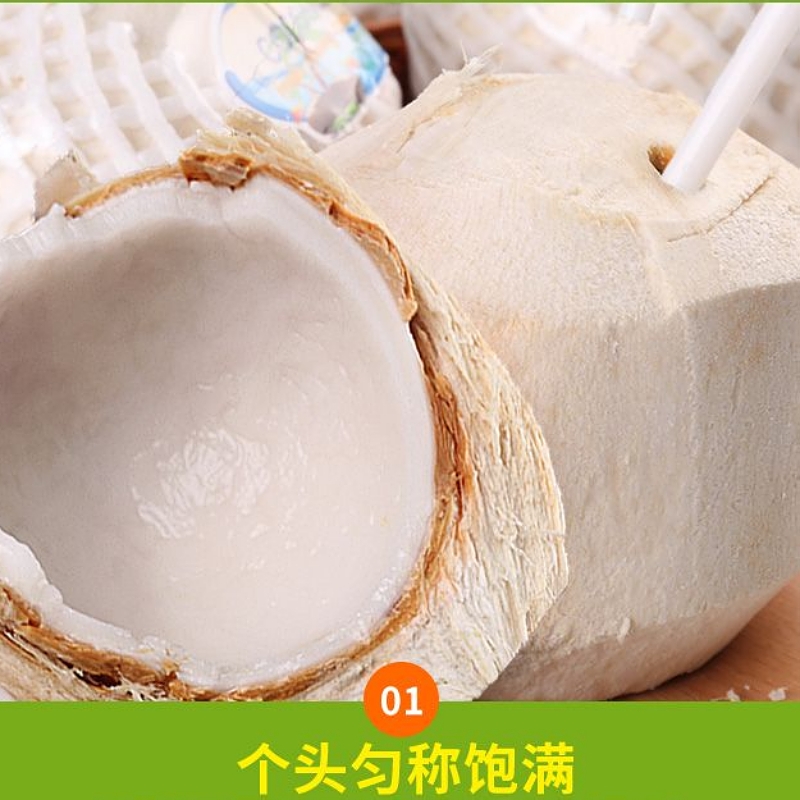 【阿昊】海南椰青新鲜现摘非老毛椰子去皮青椰热带应季孕妇椰皇水果