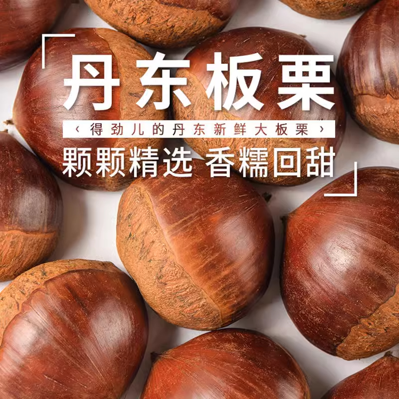 【阿昊】丹东板栗2023现摘板栗特产生新鲜野生栗子老树板栗仁非迁西