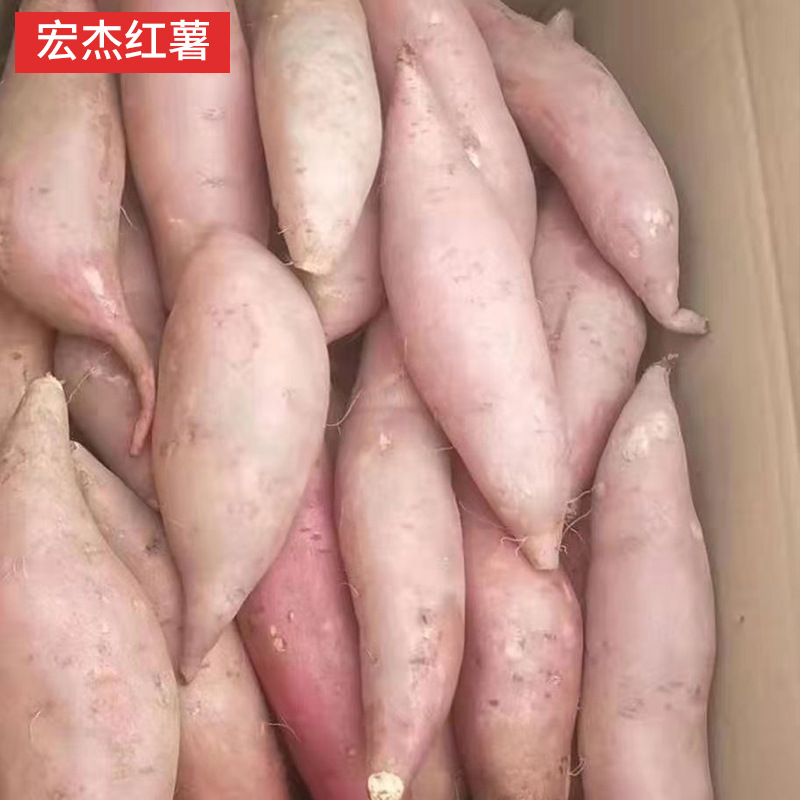 【阿昊】龙薯九红薯蜜薯块红薯丁蜜薯丁红薯粒蜜薯粒龙薯九蜜薯西瓜